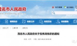 茂名今日关注怎么爆料,揭秘爆料背后的真相与线索